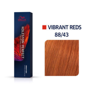 koleston-perfect-me+-88/43-blond-clair-intense-cuivré-doré-wella-professionals-shop-my-coif