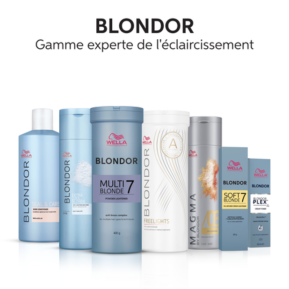 BLONDOR PLEX - Toner Cream - /81 Argent Clair - 60ml